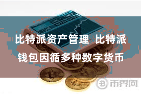 比特派资产管理  比特派钱包因循多种数字货币