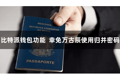 比特派钱包功能  幸免万古辰使用归并密码