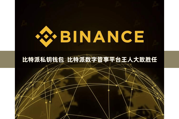 比特派私钥钱包  比特派数字管事平台王人大致胜任