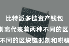 比特派多链资产钱包  它们别离代表着两种不同的区块链时刻和哄骗场景
