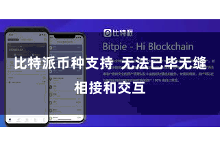 比特派币种支持  无法已毕无缝相接和交互