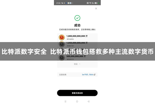 比特派数字安全  比特派币钱包搭救多种主流数字货币